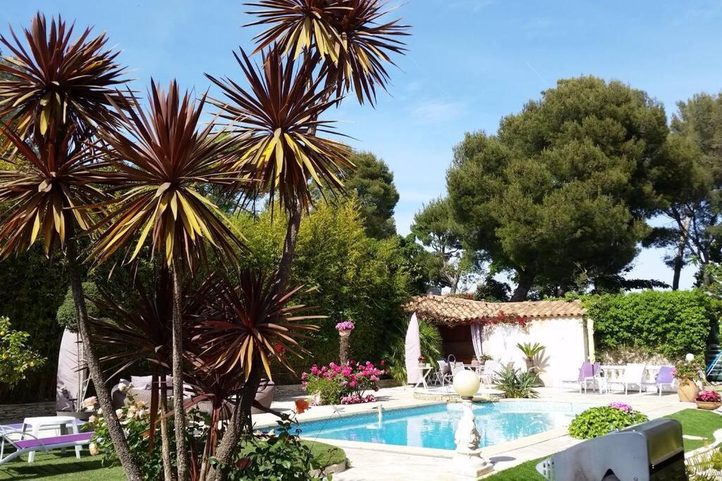 Studio Dans Villa De Charme, Piscine, Proche Plage Cassis Extérieur photo