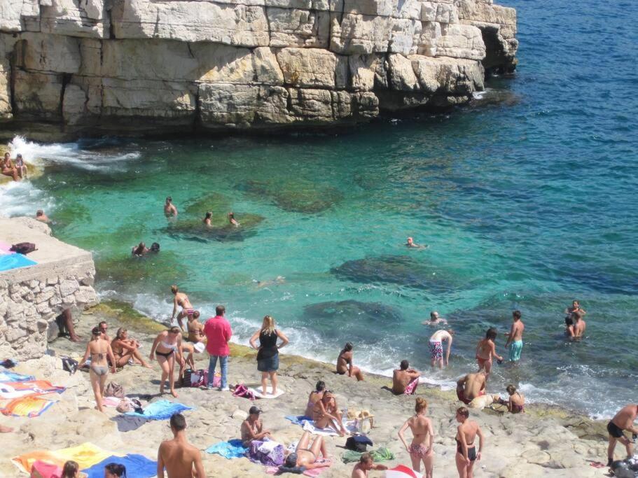Studio Dans Villa De Charme, Piscine, Proche Plage Cassis Extérieur photo