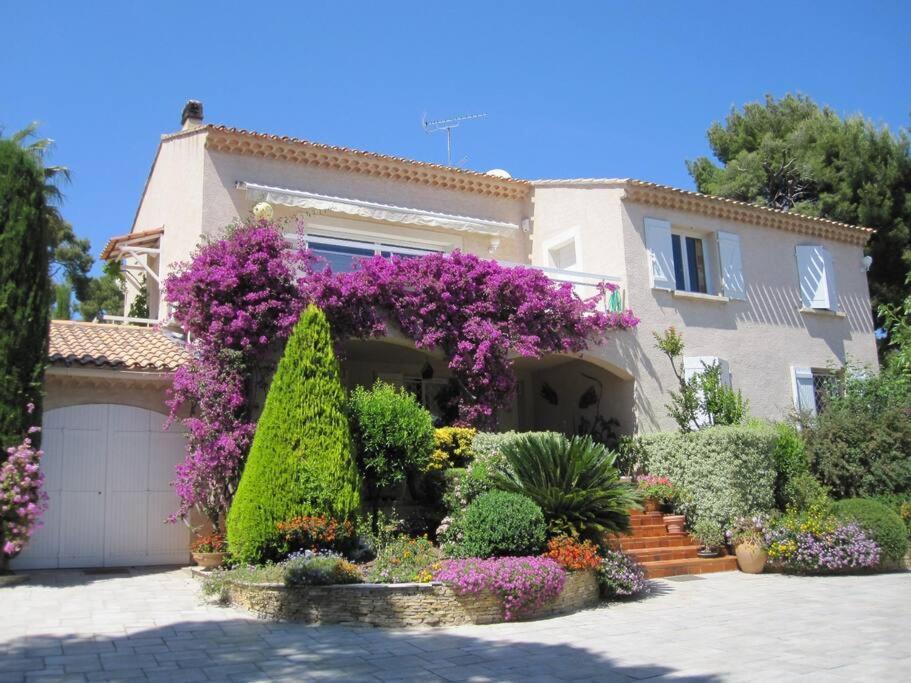 Studio Dans Villa De Charme, Piscine, Proche Plage Cassis Extérieur photo